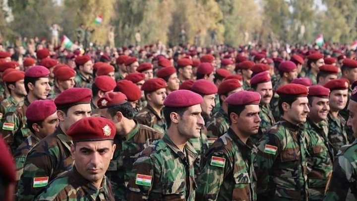 سێ وڵات پڕۆژەی یەکخستنەوەی پێشمەرگەیان ئامادە کردووە